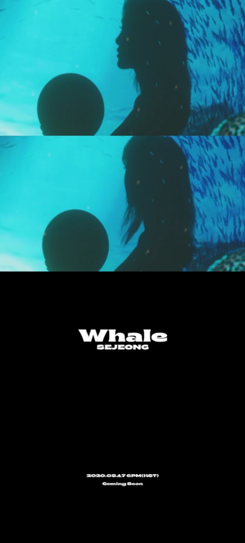 세정, 자작곡 ‘Whale’ 17일 발매 5개월 만에 컴백