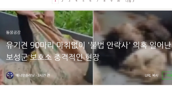 보성군 동물보호소에서 살아있는 동물을 대상으로 마취제도 사용하지 않고 안락사 시키던 현장이 동물보호단체에 의해 발견돼 충격을 주고 있다/사진=naver blog 캡처