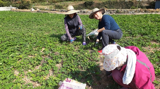 ‘전남에서 먼저 살아보기’ 여수시 체험휴양마을의 체험 모습/사진=여수시