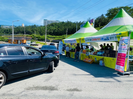 진도군, 쏠비치 진도 입구에서 농수산물 드라이브 스루 할인 판매/사진=진도군