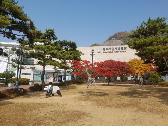 목포 자연사박물관 전경/사진=목포시
