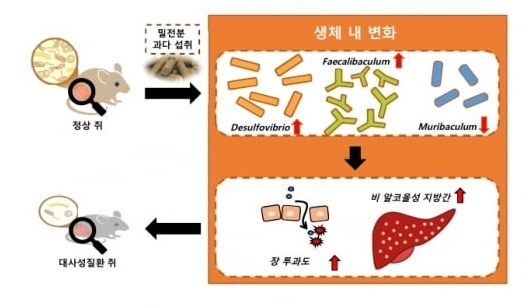 이미지=한국식품연구원 제공