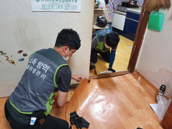진군 드림스타트에서는 지난 18일부터 취약계층 가정을 방문해 환경과 위생을 점검하고 대상자 중 주거환경이 매우 열악한 30가구를 선정해 방역 서비스를 실시하고 있다/사진=강진군