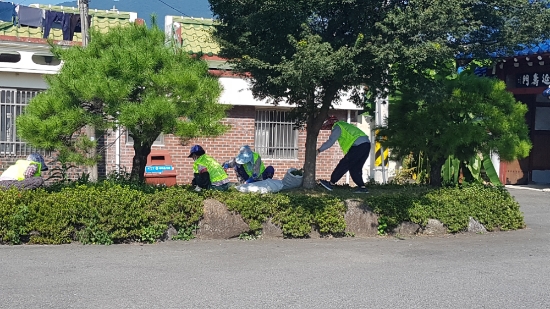 보성군, 코로나19 고통 분담 ‘보성희망일자리사업’추진/사진=보성군