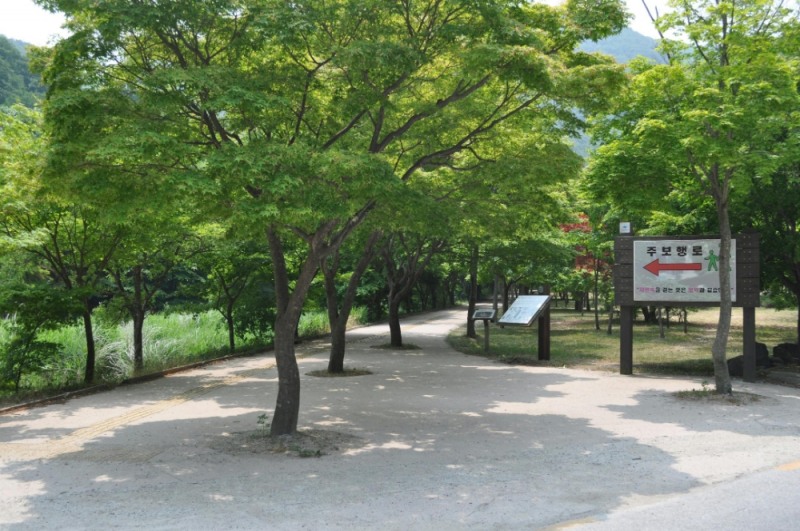 사진=국립공원공단. 내장산 자연사랑길