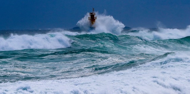 제8호 태풍 '바비(BAVI)'가 우리나라를 향해 북상 중인 25일 오후 제주 서귀포시 남원읍 태흥2리 앞바다에 거친 파도가 일고 있다.