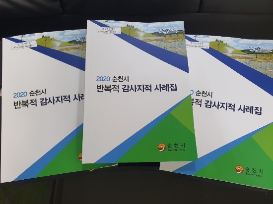 반복적 감사지적 사례집/사진=순천시