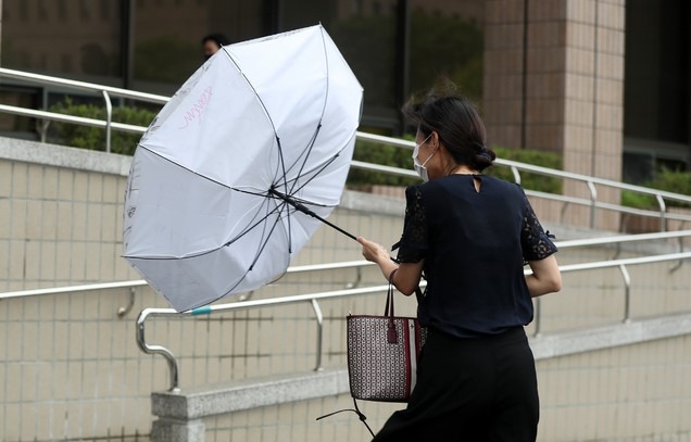 태풍 '바비'의 영향으로 비와 세찬 바람이 부는 날씨를 보인 지난 27일 과천 법무부 청사에서 출근하던 한 직원의 우산이 바람에 뒤집어지고 있다.