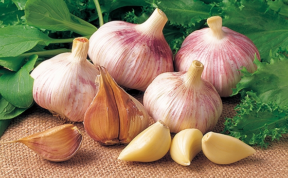 〈사진=문화체육관광부 제공〉