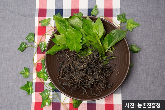 〈사진=한국농수산식품유통공사〉