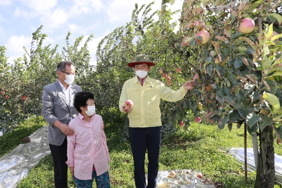 김철우 보성 군수, 태풍 ‘마이삭’ 피해 현장 점검/사진=보성군