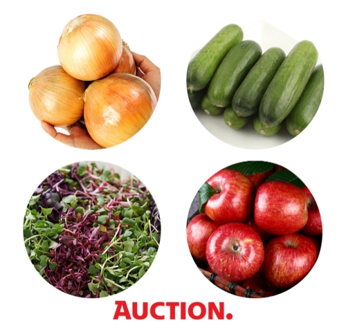 이미지 제공 = 이베이코리아