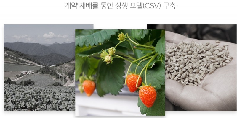 CJ프레시웨이, 국내 농산물 유통량 확장 위해 계약재배 확대