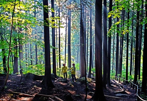 기찻길 옆 숲체험. 코레일관광개발 제공