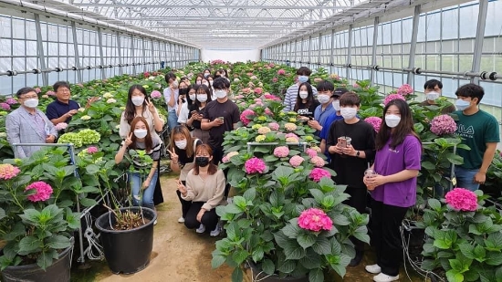 전남 강진군 칠량면 수국재배단지에 위치한 뷰티팜이 2020년 농촌융복합산업 우수사례로 선정돼 코로나19 위기를 기회로 창출한 6차산업 수익모델로 호평을 받고 있다. 사진은 뷰티팜에 선진 화훼재배기술을 익히러 온 수강생들/사진=강진군