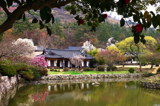 진도군은 주요 관광지에 방역·관리요원을 배치해 안심여행 환경을 조성한다/사진=진도군