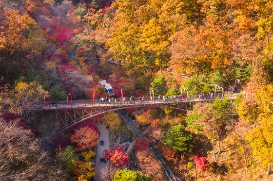 화담숲의 약속의 다리