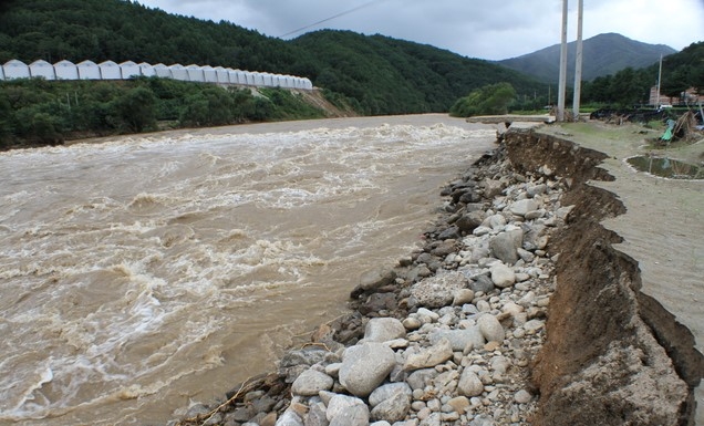 코레일, 영동·태백선 14일 열차운행 재개 밝혀
