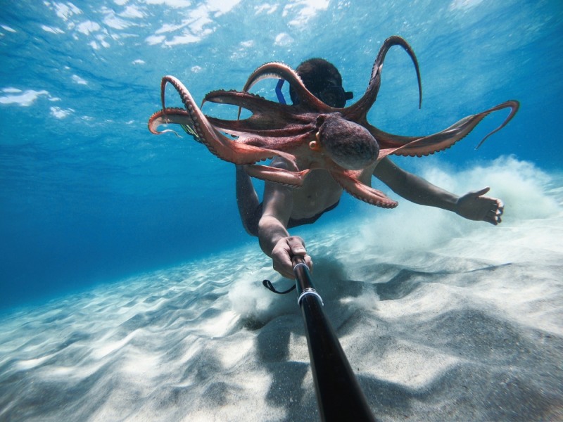 사진은 '히어로9 블랙' 제품 활용 이미지