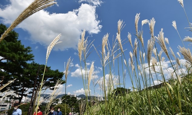지난 4일 경기 수원시 팔달구 화서공원에서 바라본 하늘.