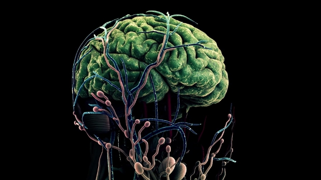 (사진=삼성전자) 인간의 뇌를 형상화한 그래픽