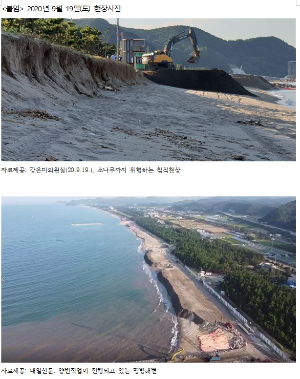 (사진=강은미 의원실)