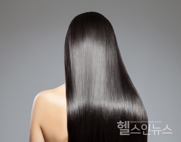 클립아트코리아