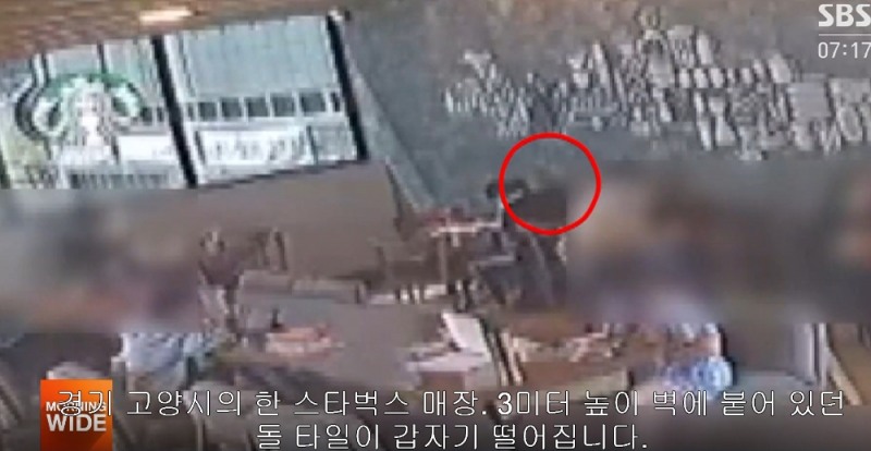 (사진=SBS뉴스 캡처)