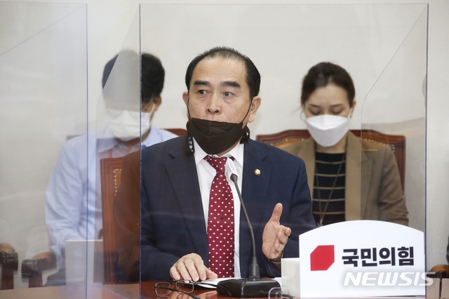 태영호 의원이 26일 서울 여의도 국회에서 열린 국민의힘 '북한의 우리 국민 사살·화형 만행 진상조사TF' 제1차회의에서 참석해 발언하고 있다. (사진=국민의힘 제공)