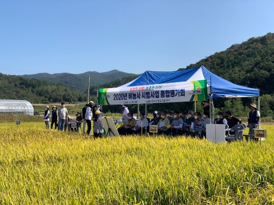 진도군은 최근 농업기술센터 실증 시험포장에서 벼농사 시범농가, 유색미연구회 등 20여명이 참석한 가운데 벼농사 종합평가회를 개최했다/사진=진도군