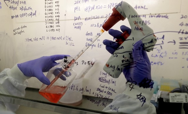 WHO "코로나19 신규 확진자 35만766명"...또 최고치 경신
