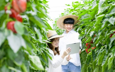 한국농수산대학, 수시모집 특별전형 경쟁률 4.46:1