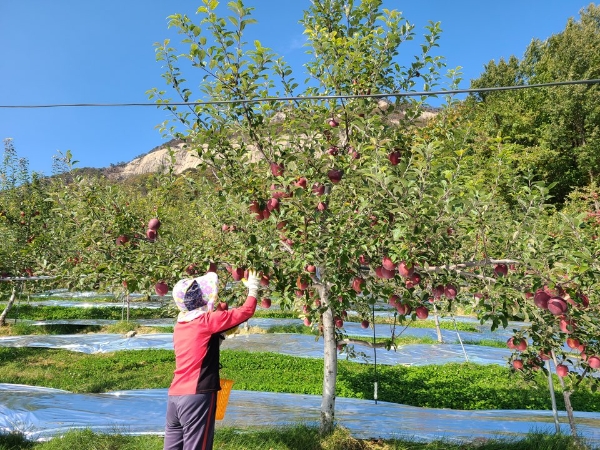 사진 제공 = 롯데마트