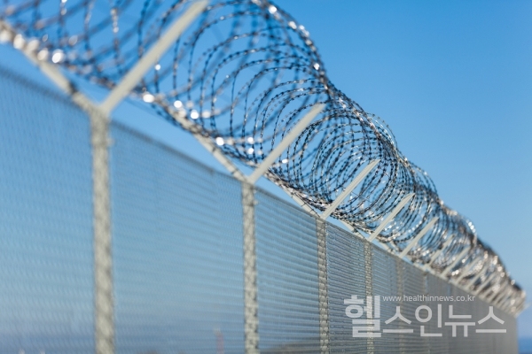 클립아트코리아