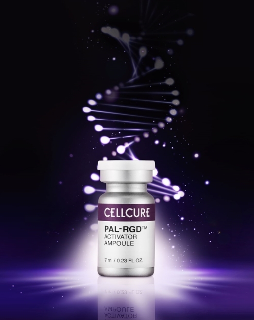 셀큐어, 깊은 주름 개선 ‘팔알지디 앰플’ 출시