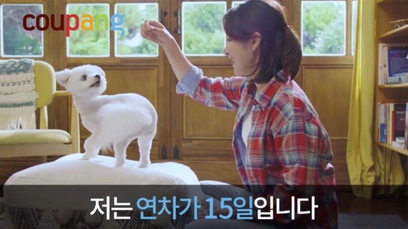 쿠팡, 택배사업자 신청... "주 52시간 직고용으로 택배 사업 새 표준만들 것"