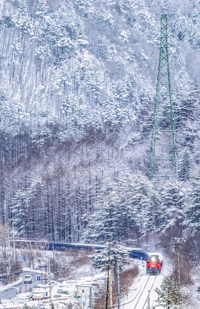 은상 받은 '자연을 누리로(박정빈 作)'