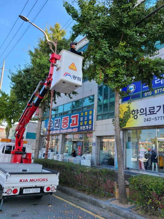 목포시는 가을철 불청객 은행나무 열매를 사전 채취해 악취 발생을 막고 깨끗한 도심 만들기에 나선다/사진=목포시