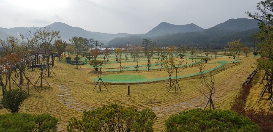 영광파크골프장 전경./사진=영광군