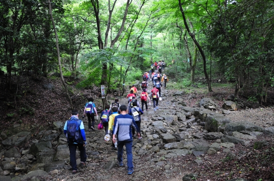 진도 첨찰산 난대숲길/사진=전라남도
