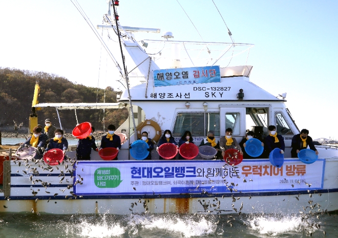 (사진=현대오일뱅크) 4일, 현대오일뱅크 임직원들이 삼길포항에서 새끼 우럭을 방류하고 있다.