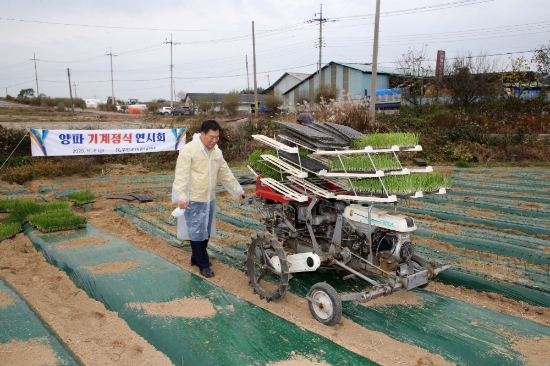 무안군, 양파 기계정식 연시회/사진=무안군