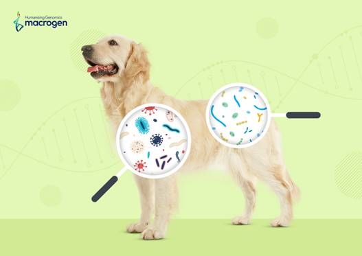 마크로젠, 리치플래닛, 서울대학교가농촌진흥청의 지원을 받아 국내 최대 규모 반려견 마이크로바이옴 빅데이터 구축 사업에 착수했다.