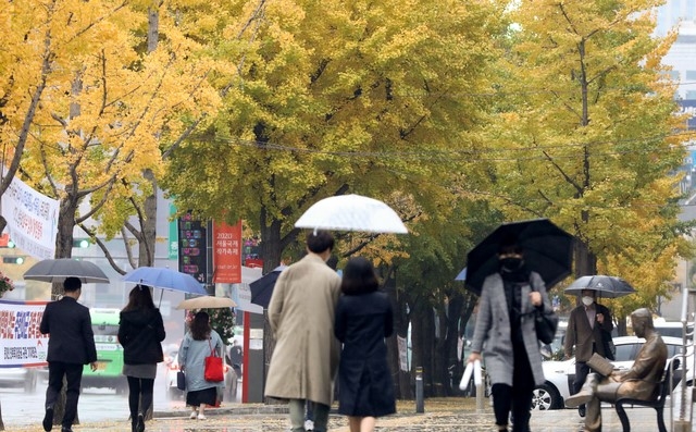 지난 1일 서울 종로구 광화문 인근에서 시민들이 우산을 쓰고 낙엽길을 걷고 있다. 