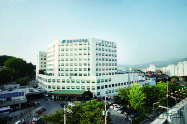 한림대학교춘천성심병원제공