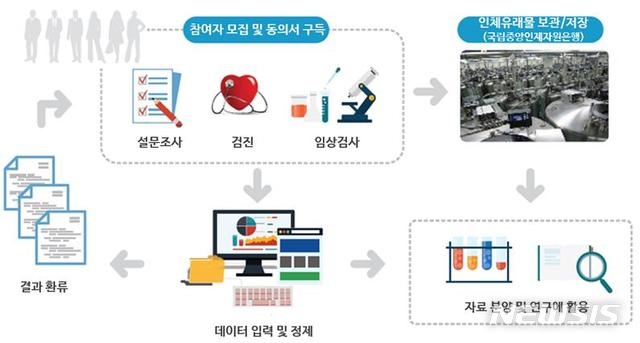 한국인유전체역학조사사업 수행체계. (그래픽=질병관리청 국립보건연구원 제공)