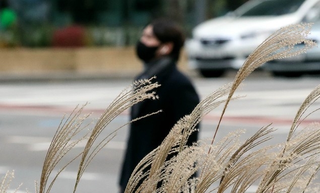 초겨울 날씨를 보이는 지난 20일 오전 서울 종로구 일대에서 두꺼운 옷을 입은 시민이 출근길을 서두르고 있다.