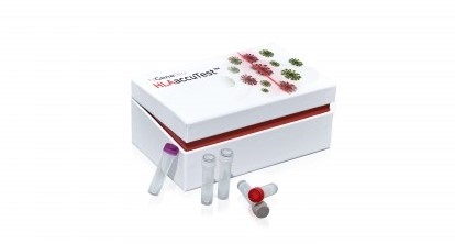 HLAaccuTest 키트