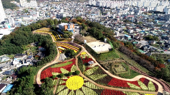 화순군 남산공원 국화동산 전경./사진=화순군