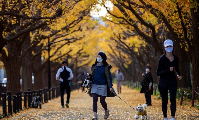 27일 일본 도쿄에서 신종 코로나바이러스 감염증(코로나19) 확산 방지를 위해 마스크를 쓴 사람들이 노란 은행잎이 떨어진 산책로를 걷고 있다.
